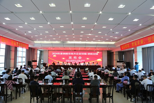 市地方企業(yè)兩個最新“強榜”發(fā)布    銅化集團(tuán)均位居前列